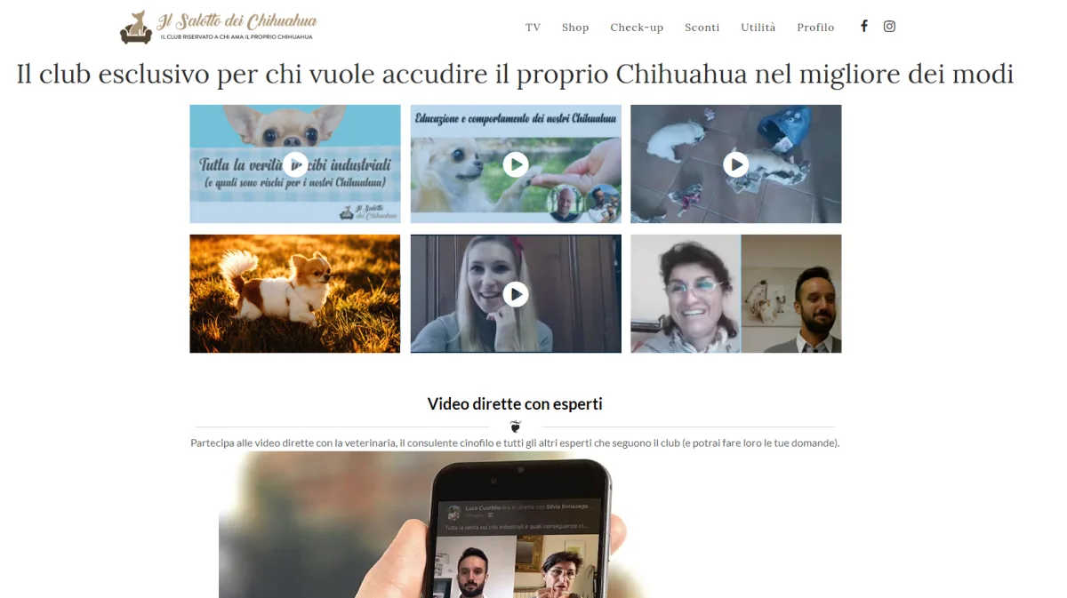 Progetto realizzato per Il Salotto dei Chihuahua